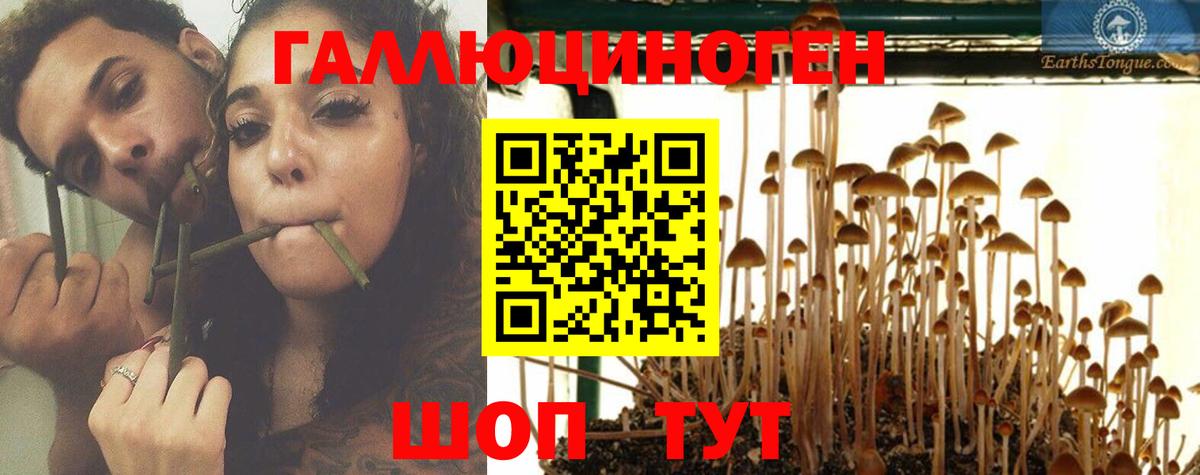 Галлюциногенные грибы Psilocybine cubensis  Вход с VPN  Салехард 